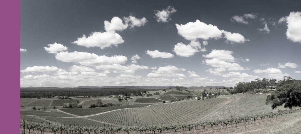 A wide, rolling landscape, likely the Hunter Valley or a similar wine region.